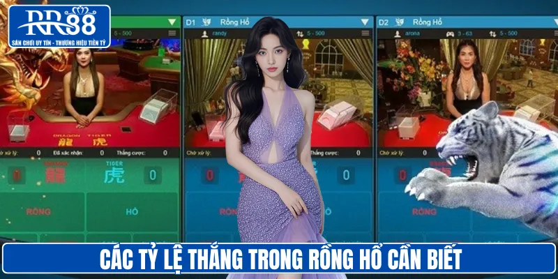 Các tỷ lệ thắng trong rồng hổ cần biết